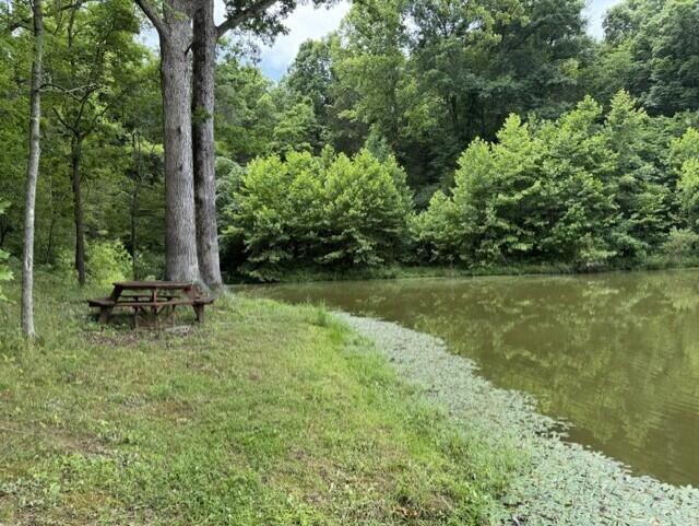 0 Kelly Ridge Road Irvine, KY 40336 - Photo 12 of 39 17