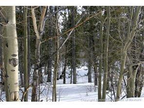 625 Beaver Ridge Road Fairplay, CO 80440 - Photo 1 of 4 Gallery Image 1