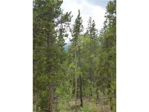 625 Beaver Ridge Road Fairplay, CO 80440 - Photo 2 of 4 Gallery Image 2