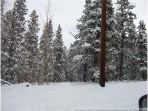625 Beaver Ridge Road Fairplay, CO 80440 - Photo 3 of 4 Gallery Image 3