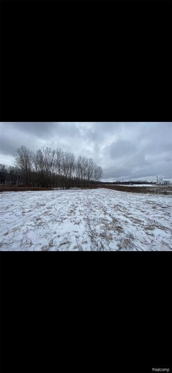 0 Pingree Road Howell, MI 48843 - Photo 3 of 6