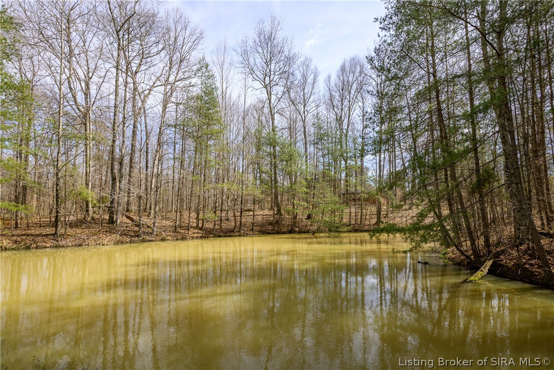 3221 Cummins Road Borden, IN 47106 - Photo 44 of 51 pond
