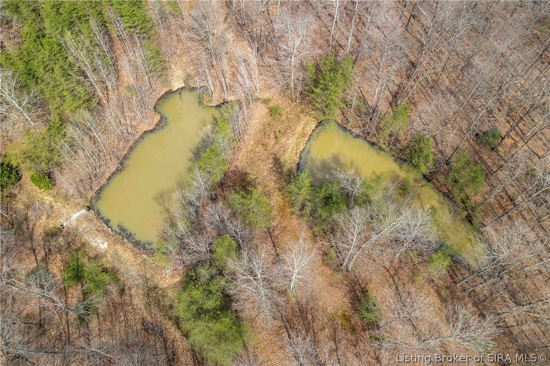 3221 Cummins Road Borden, IN 47106 - Photo 51 of 51 ponds
