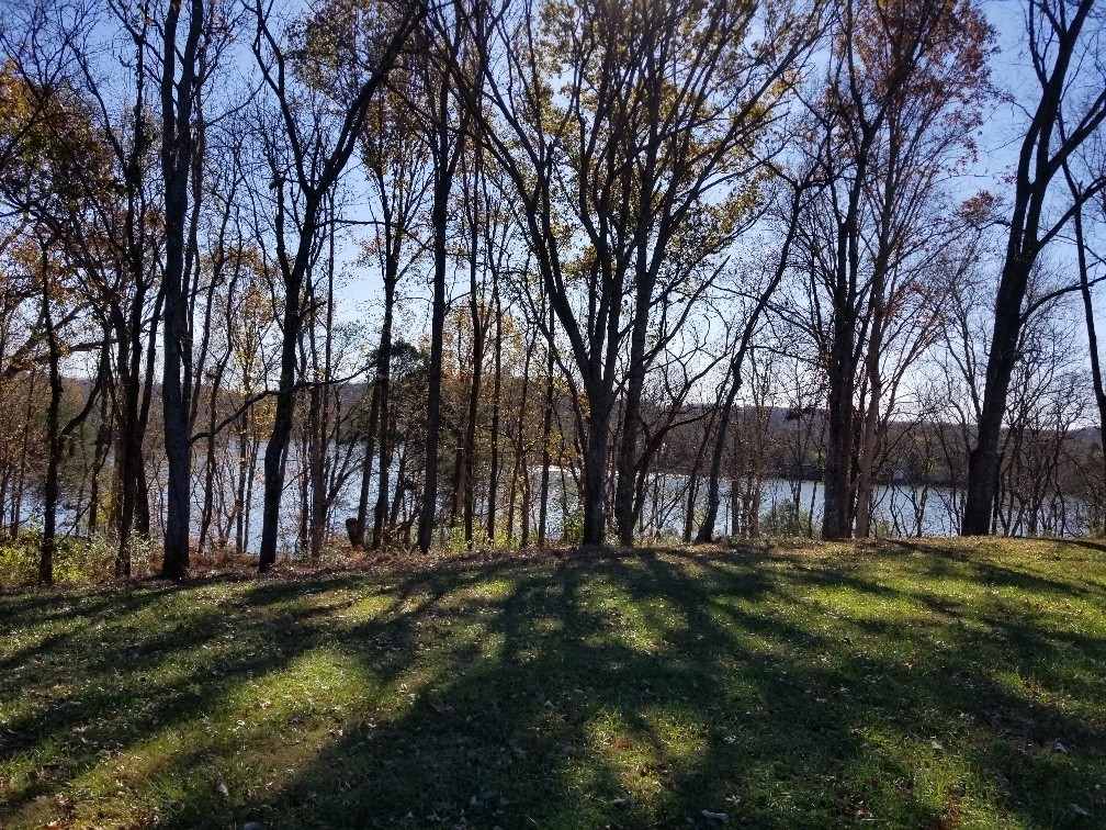 1107 East Robertson Road Castalian Springs, TN 37031 - Photo 2 of 32 Gallery Image 2