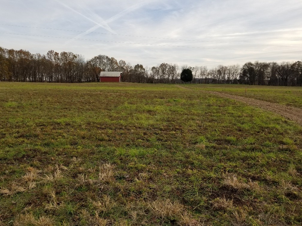 1107 East Robertson Road Castalian Springs, TN 37031 - Photo 11 of 32 Gallery Image 11