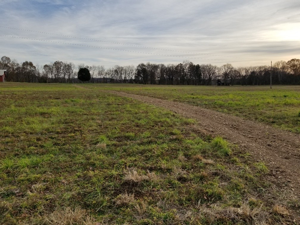1107 East Robertson Road Castalian Springs, TN 37031 - Photo 12 of 32 Gallery Image 12