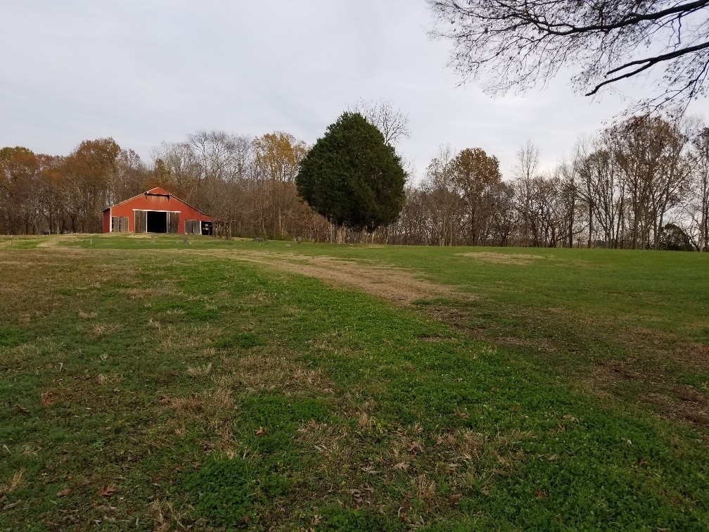 1107 East Robertson Road Castalian Springs, TN 37031 - Photo 13 of 32 Gallery Image 13
