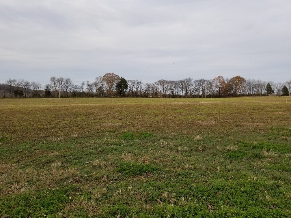 1107 East Robertson Road Castalian Springs, TN 37031 - Photo 14 of 32 Gallery Image 14