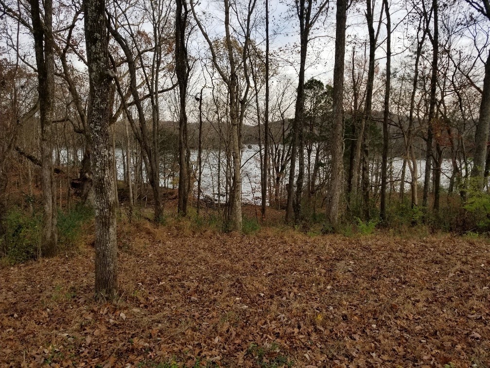 1107 East Robertson Road Castalian Springs, TN 37031 - Photo 21 of 32 Gallery Image 21