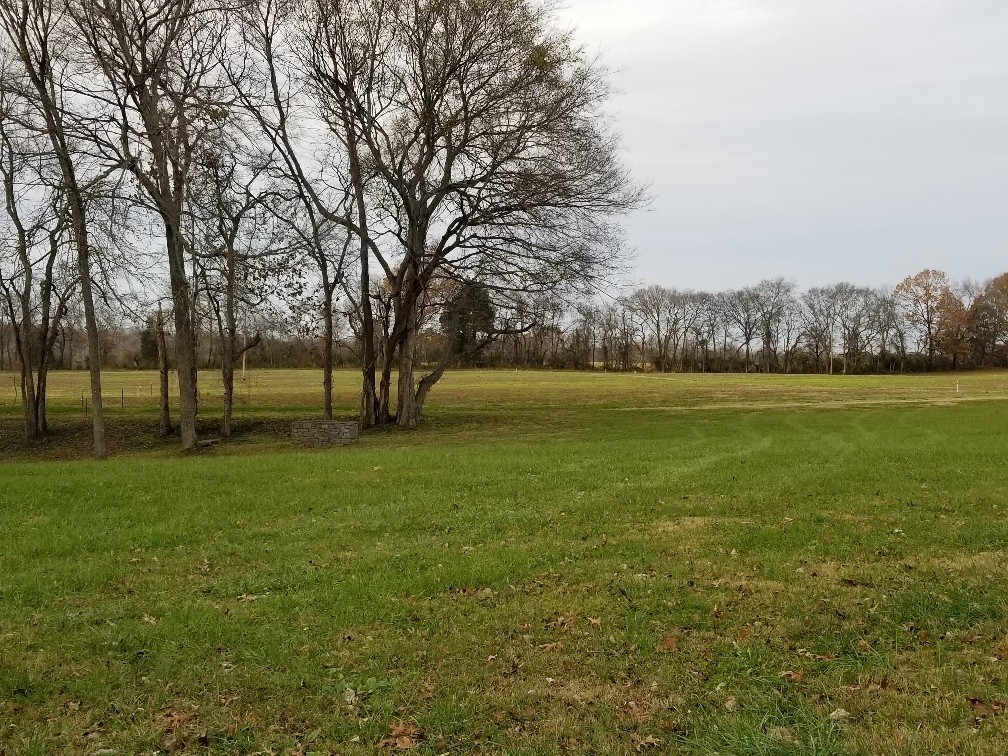 1107 East Robertson Road Castalian Springs, TN 37031 - Photo 25 of 32 Gallery Image 25