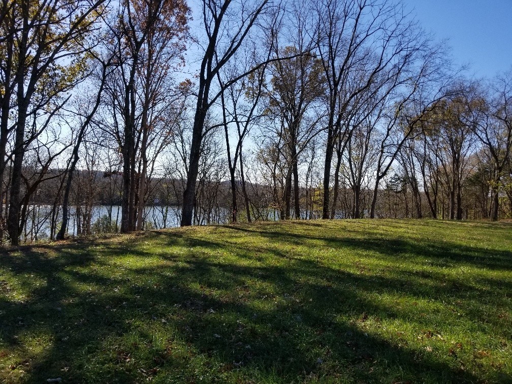 1107 East Robertson Road Castalian Springs, TN 37031 - Photo 26 of 32 Gallery Image 26