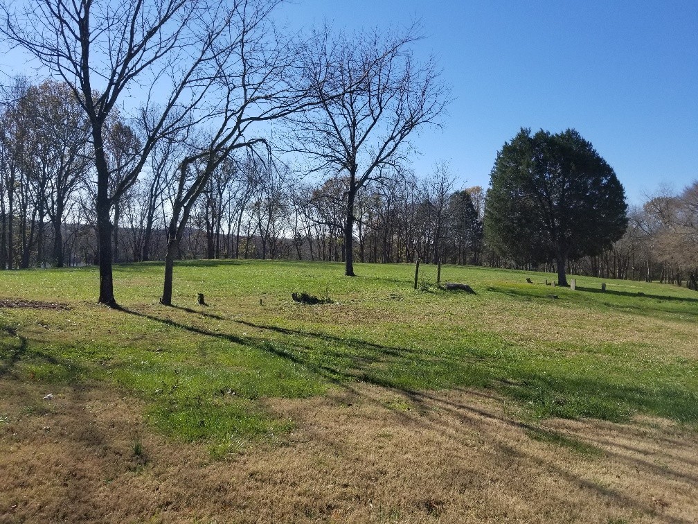 1107 East Robertson Road Castalian Springs, TN 37031 - Photo 28 of 32 Gallery Image 28
