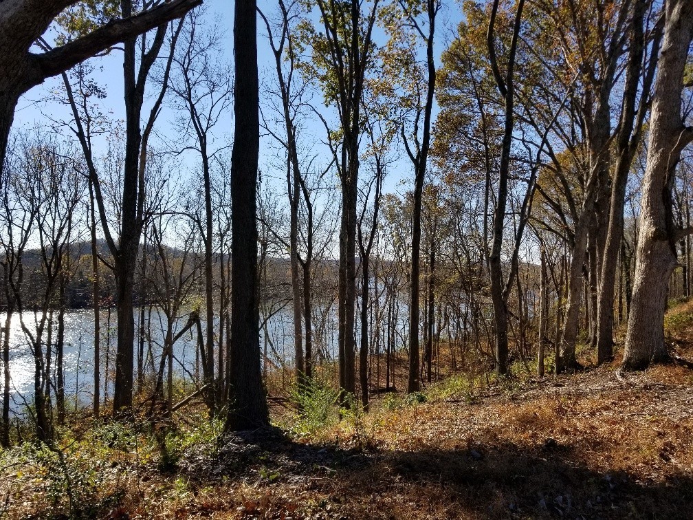1107 East Robertson Road Castalian Springs, TN 37031 - Photo 29 of 32 Gallery Image 29
