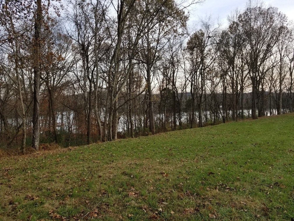 1107 East Robertson Road Castalian Springs, TN 37031 - Photo 10 of 32 Gallery Image 10