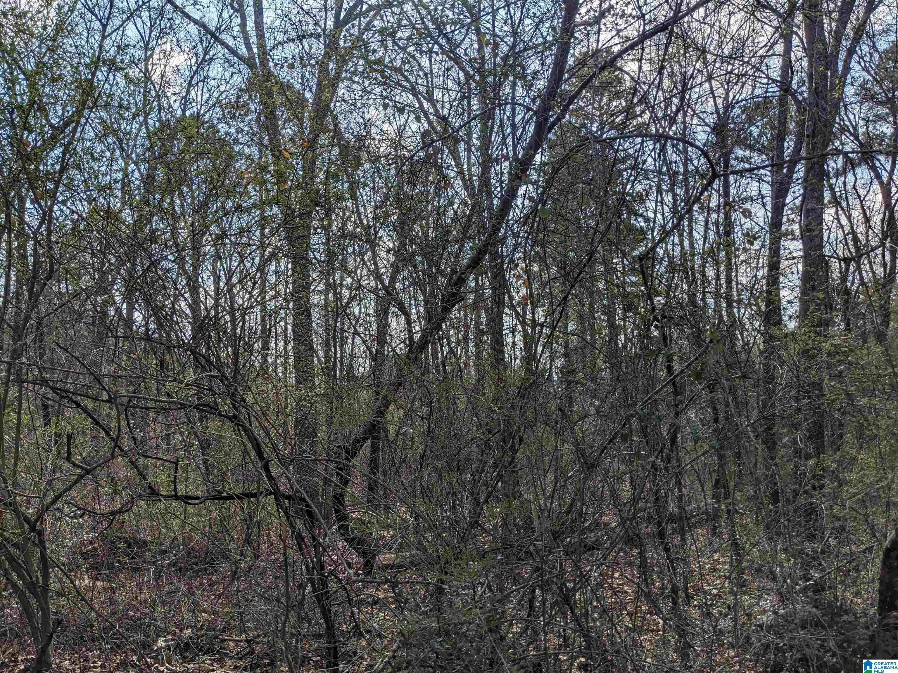 0 Hathaway Heights Road, Unit 2 & 3 Anniston, AL 36207 - Photo 4 of 30
