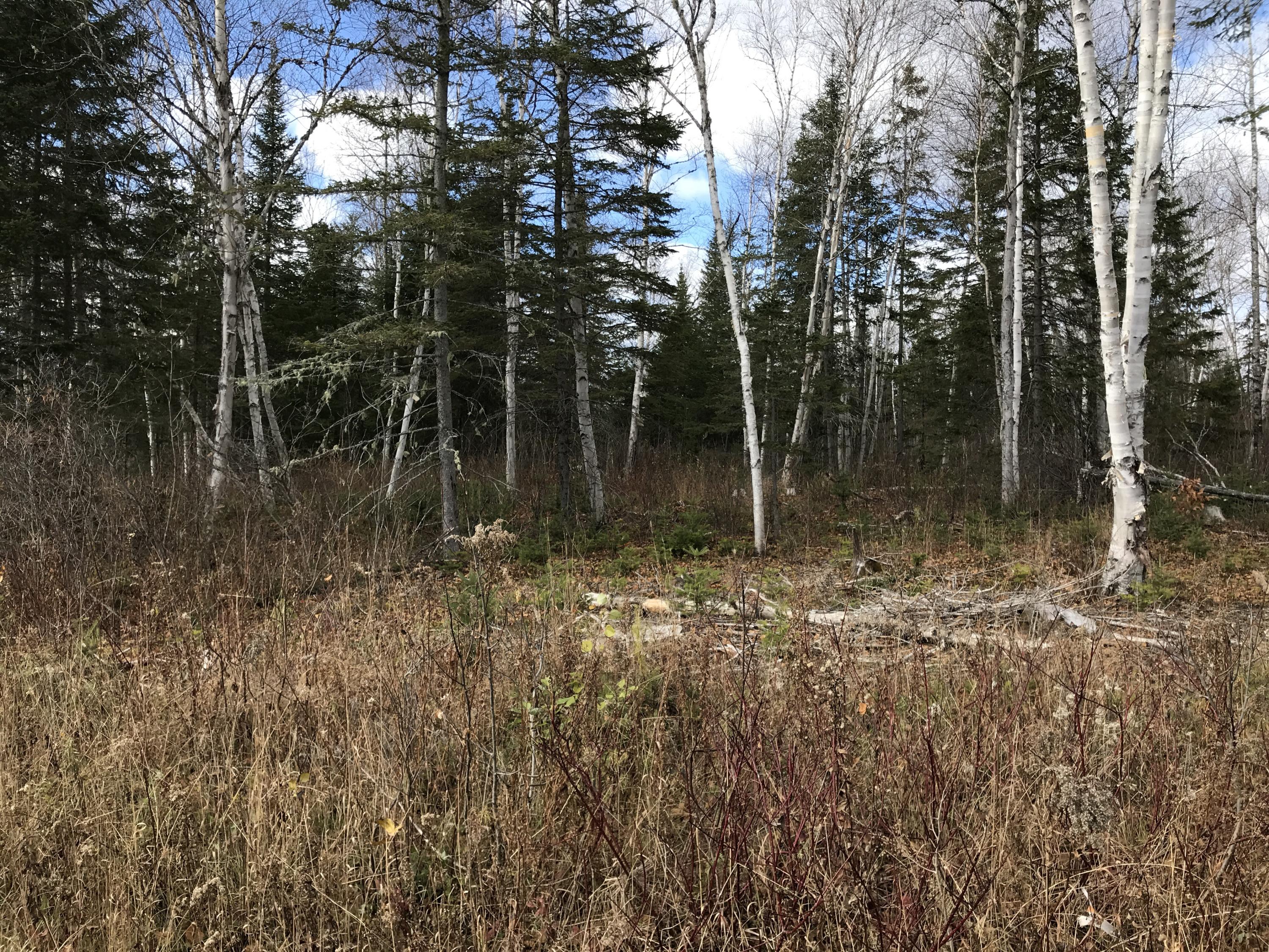 175.4 Townline Road Caribou, ME 04736 - Photo 4 of 8 Photo Oct 26, 1 44 34 PM
