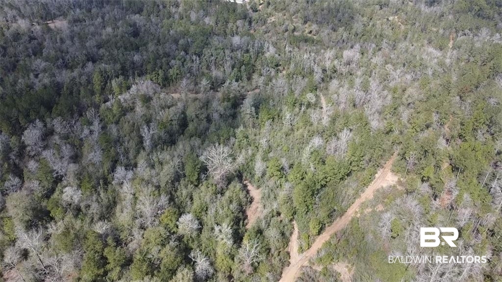 0 Chunchula Georgetown Road Chunchula, AL 36521 - Photo 4 of 15 Birds eye view of property with a view of trees