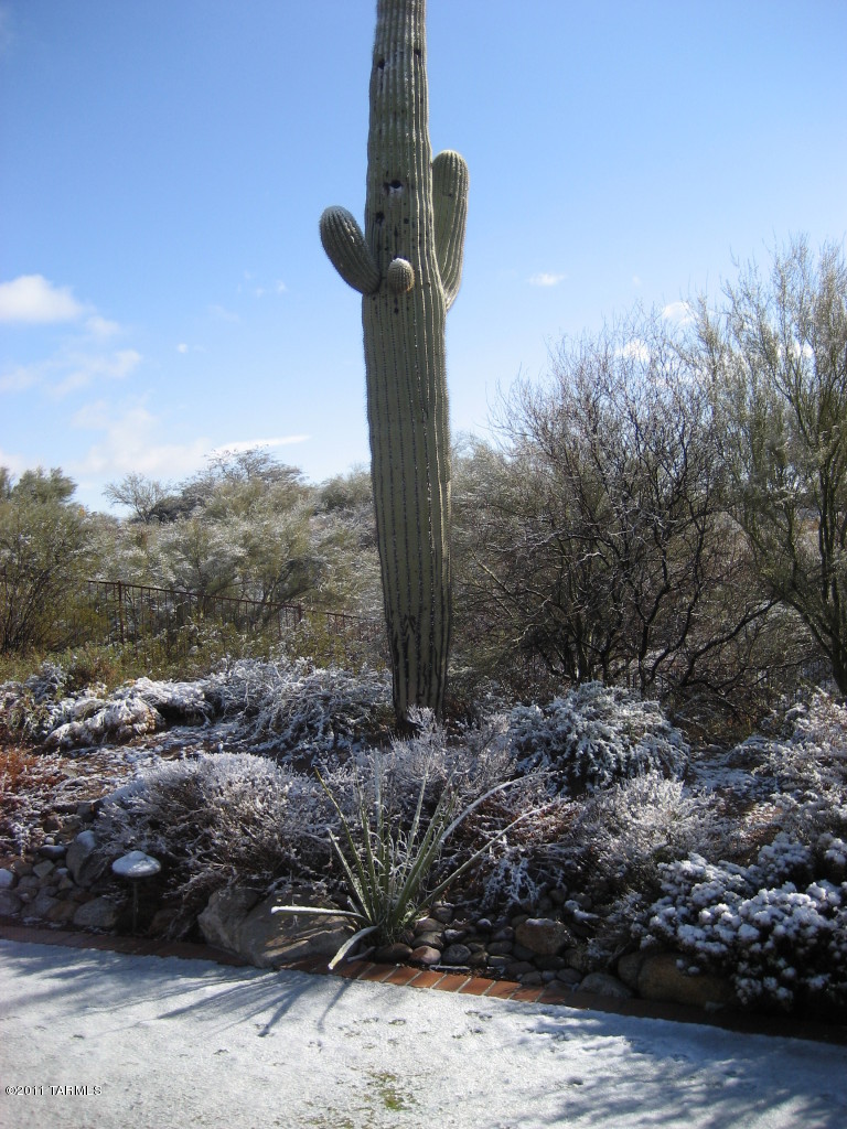 5915 North Pontatoc Road Tucson, AZ 85718 - Photo 27 of 27 Gallery Image 27