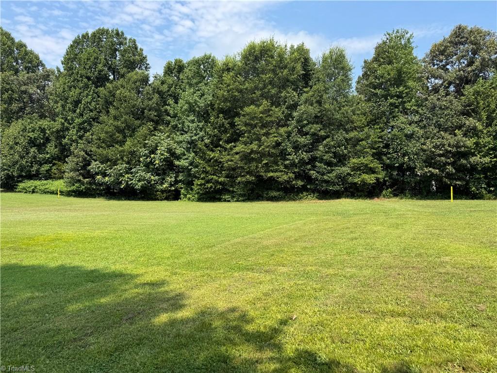 2817 Norwell Court Oak Ridge, NC 27310 - Photo 31 of 35 Area beyond fence that is the easement