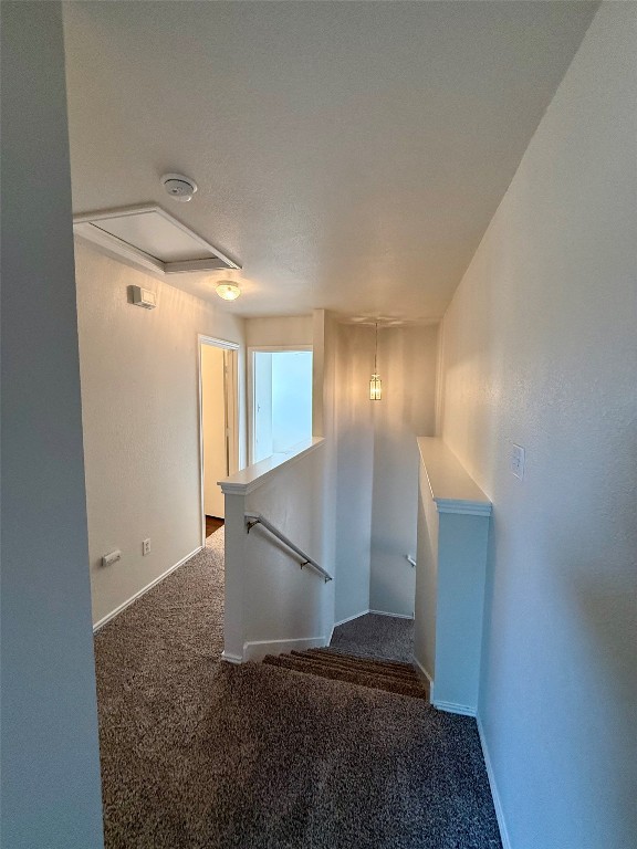 18304 Belfry Pass Manor, TX 78653 - Photo 19 of 26