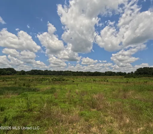 $4,650,000 | Old Port, Edwards, MS 39066