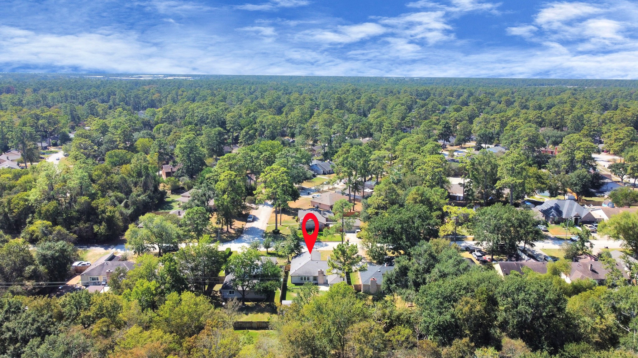 23002 Grand Rapids Lane Spring, TX 77373 - Photo 7 of 41 a view of a city with lush green forest