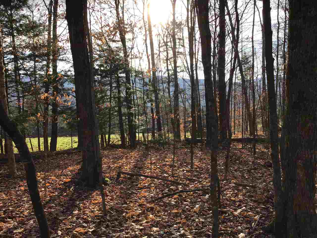 Tbd Twiss Hill Road Waterville, VT 05492 - Photo 19 of 20