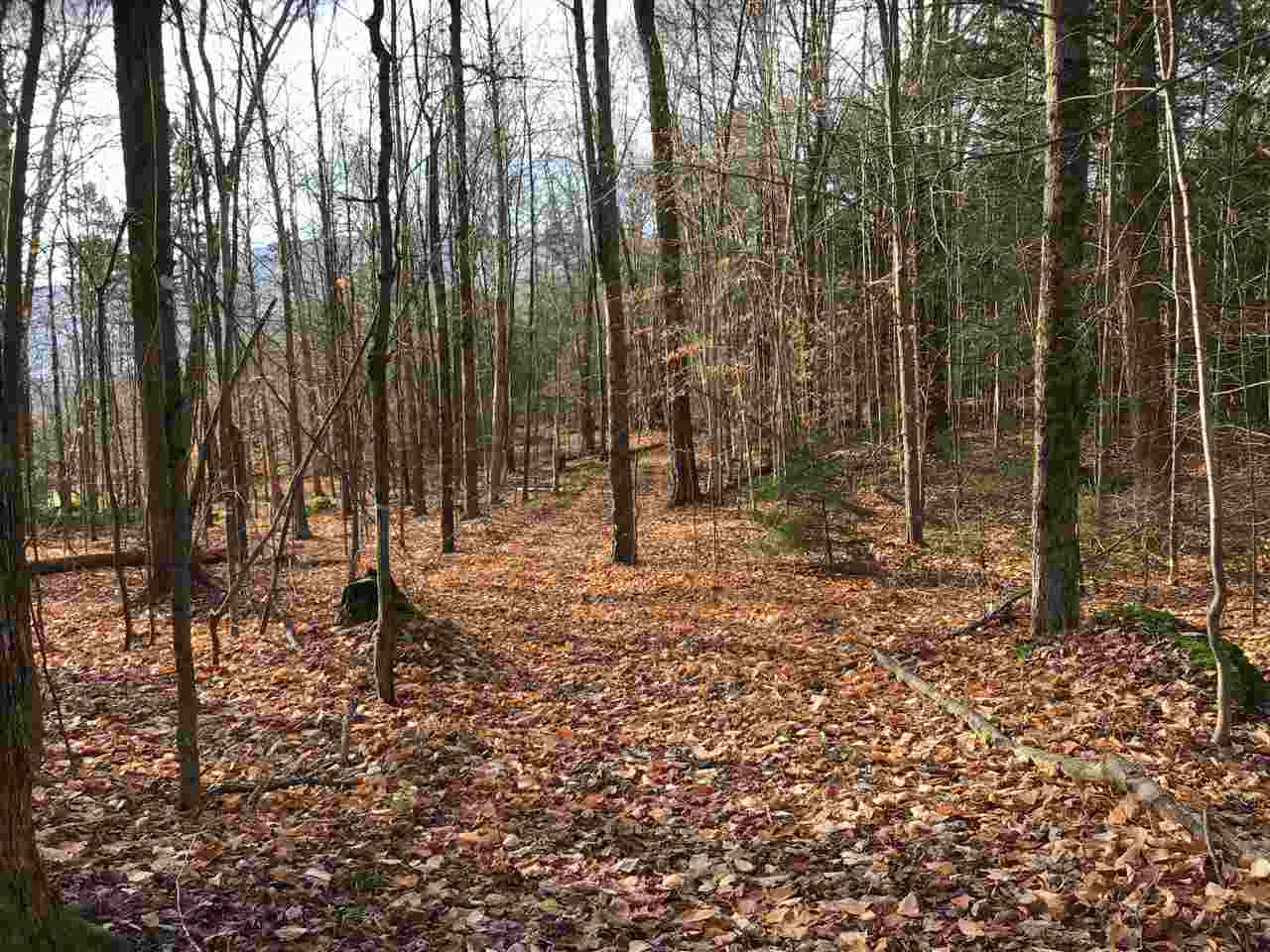 Tbd Twiss Hill Road Waterville, VT 05492 - Photo 20 of 20