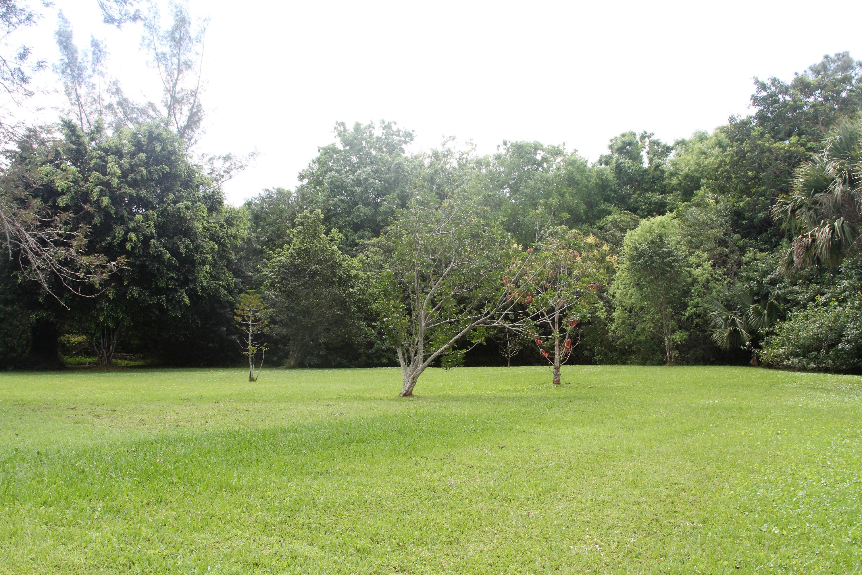 9561 154th Road North Jupiter, FL 33478 - Photo 2 of 15 IMG_5600 (2)