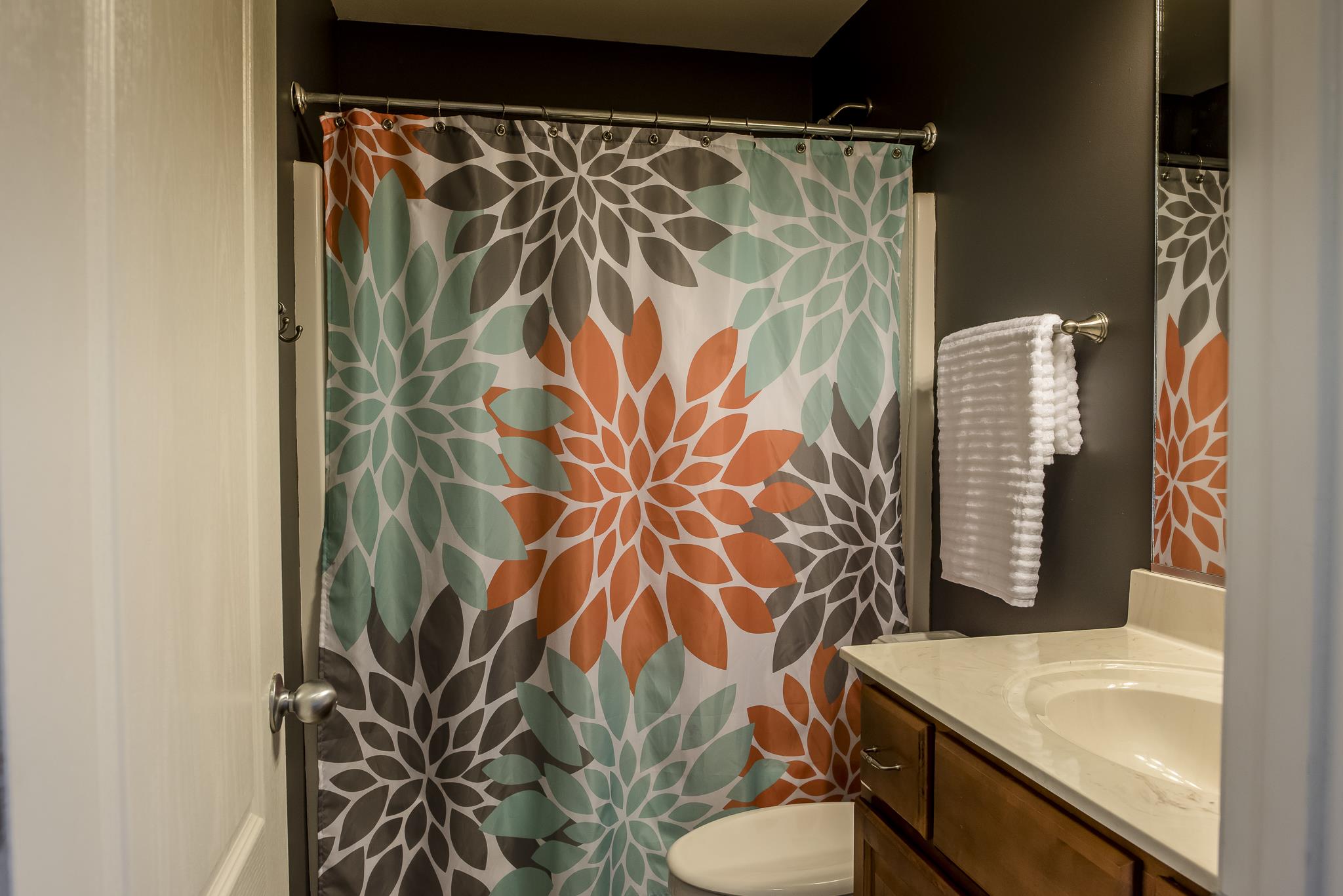 3983 Kristen Street Spring Hill, TN 37174 - Photo 9 of 18 Gallery Image 9