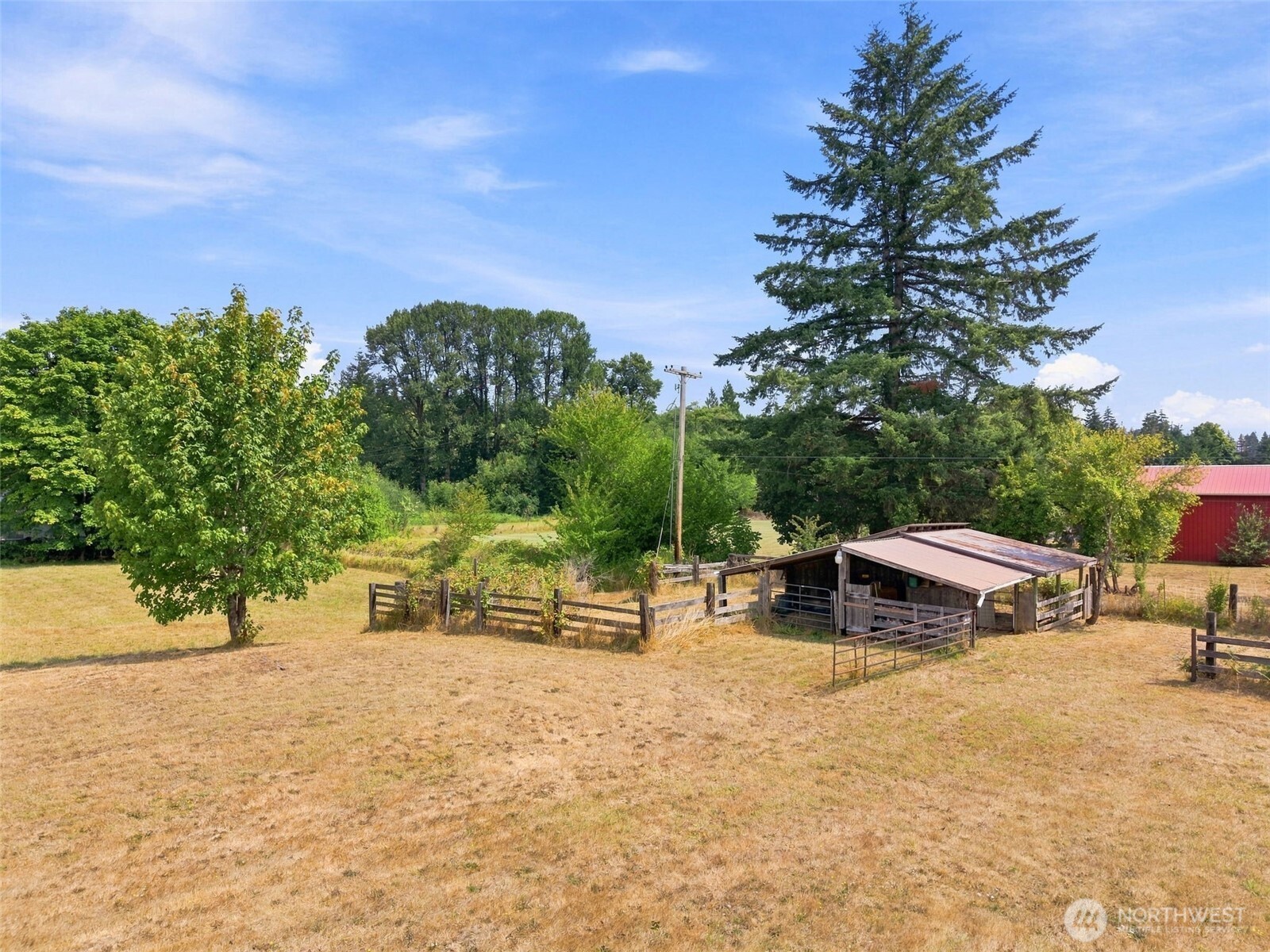 0 Cedar Doty, WA 98539 - Photo 12 of 25 Gallery Image 12