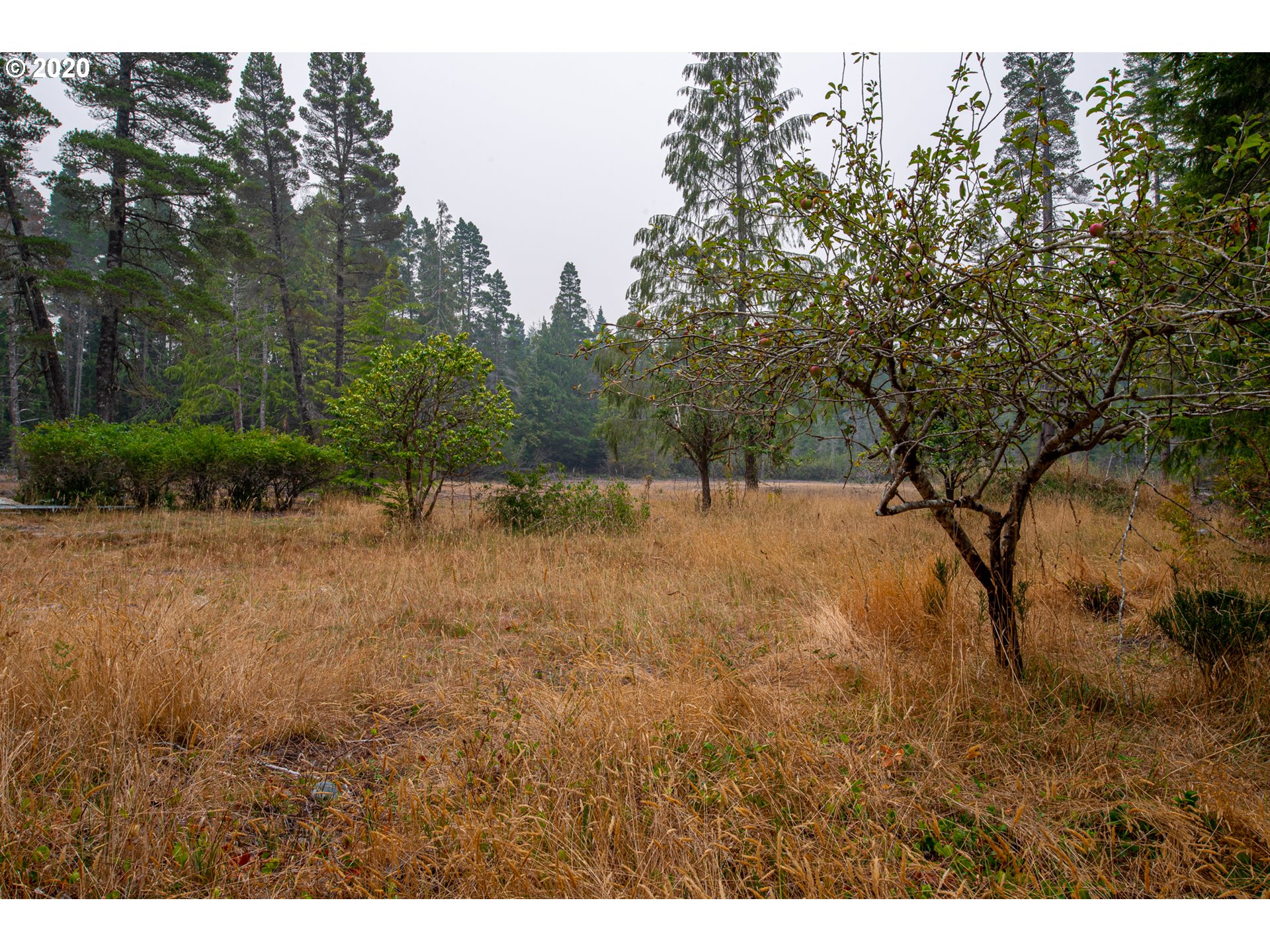 53498 Morrison Road Bandon, OR 97411 - Photo 10 of 27 Gallery Image 10