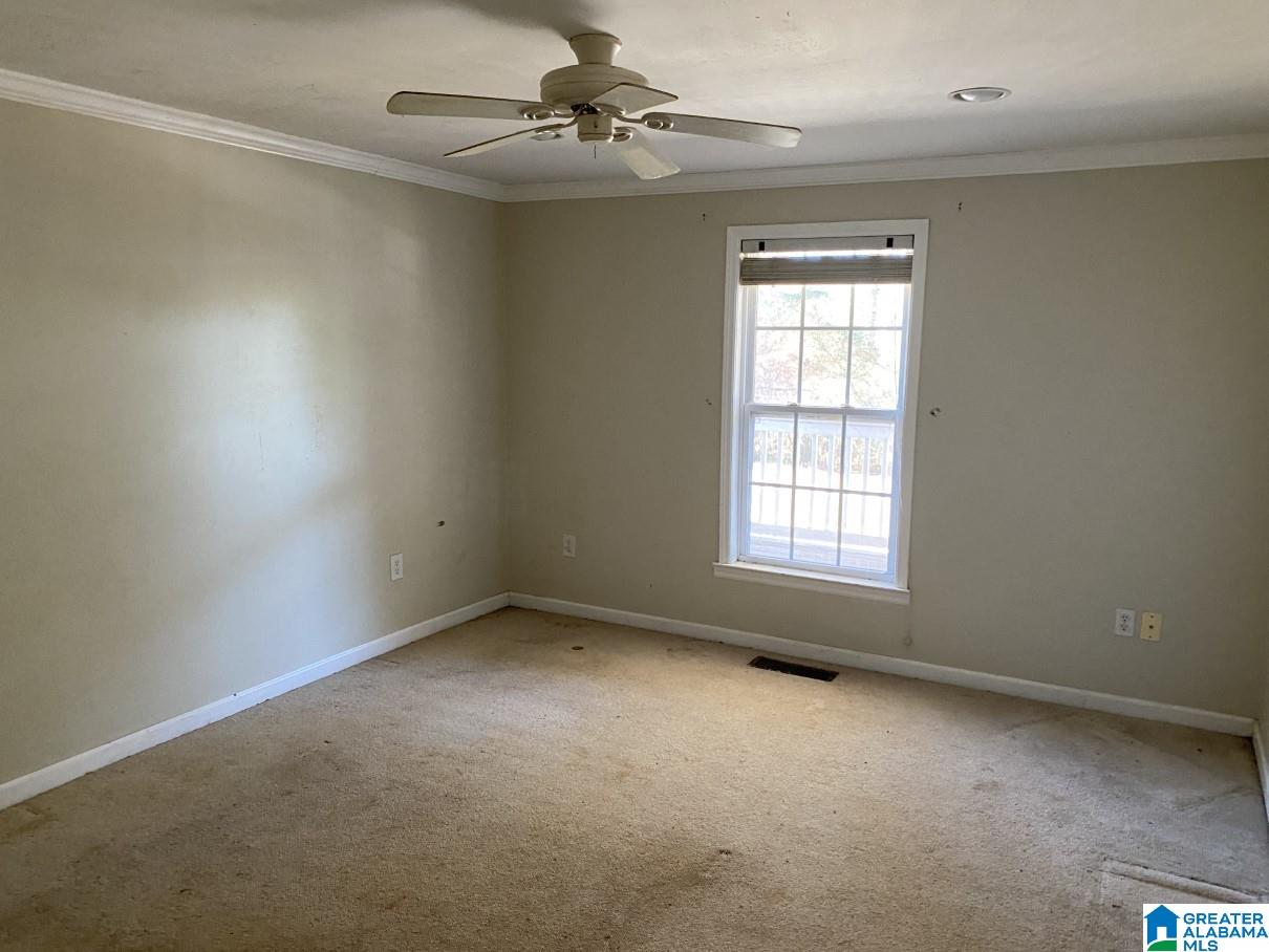 925 Levine Road Odenville, AL 35120 - Photo 9 of 15