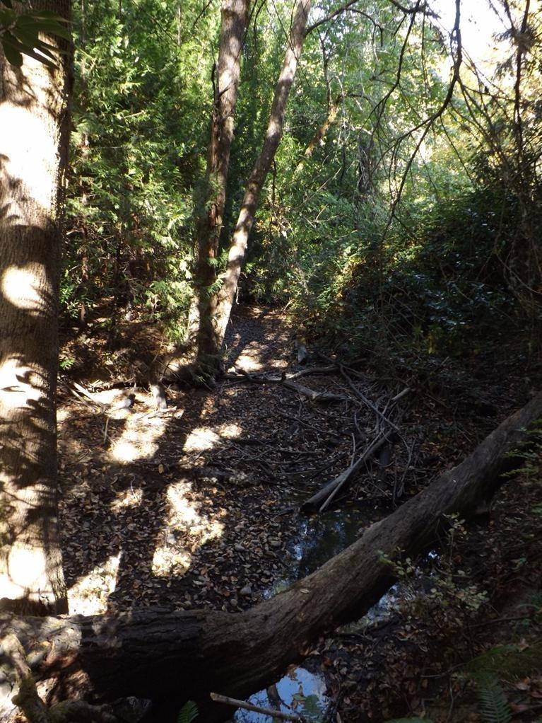 4840 Dick George Road Cave Junction, OR 97523 - Photo 16 of 18 creek bed