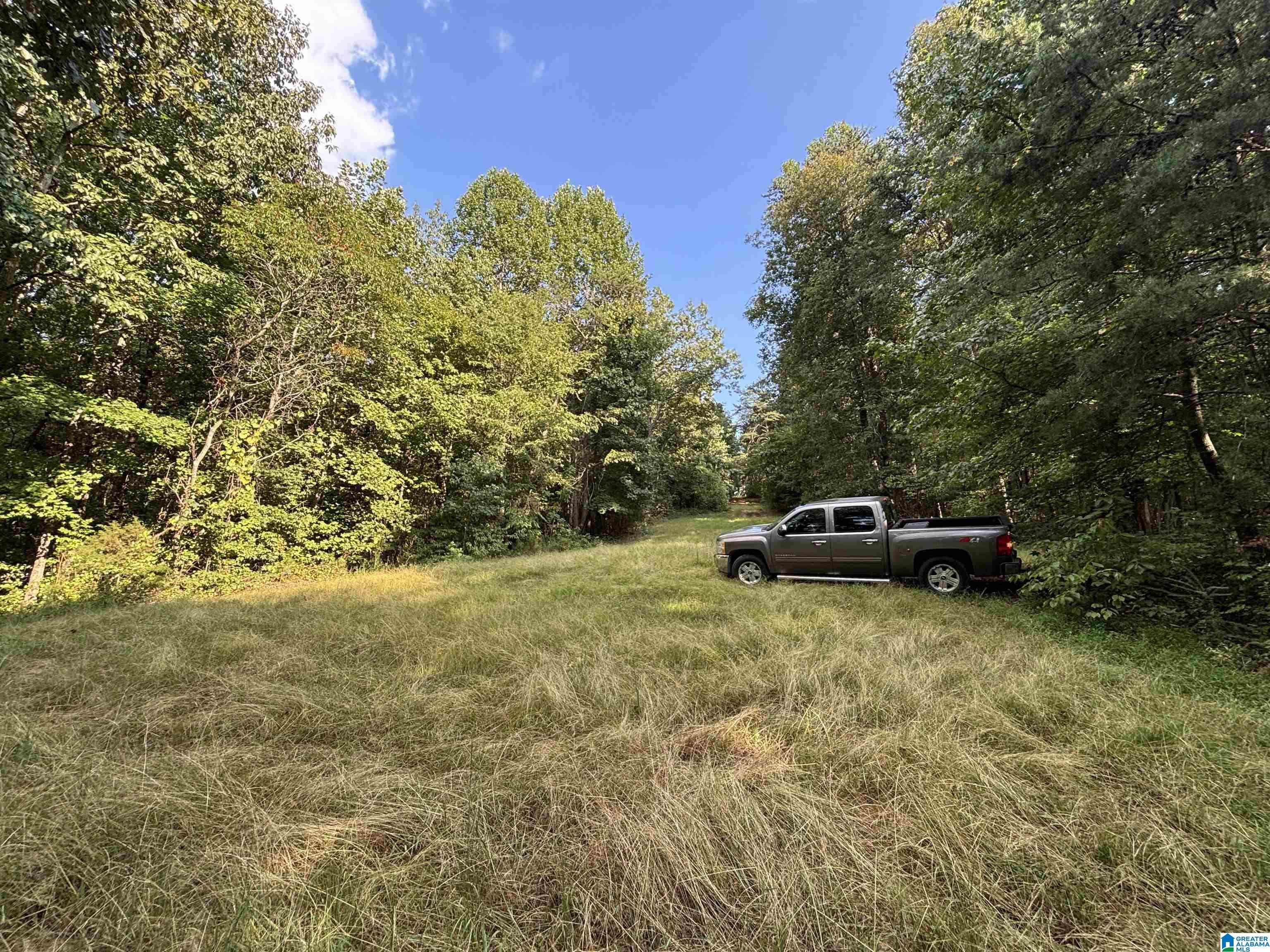 1849 Baker Road Ashville, AL 35953 - Photo 54 of 72 Gallery Image 54