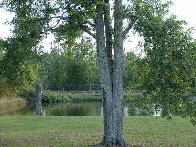 1185 Tate Road Cantonment, FL 32533 - Photo 11 of 11 View from the back patio