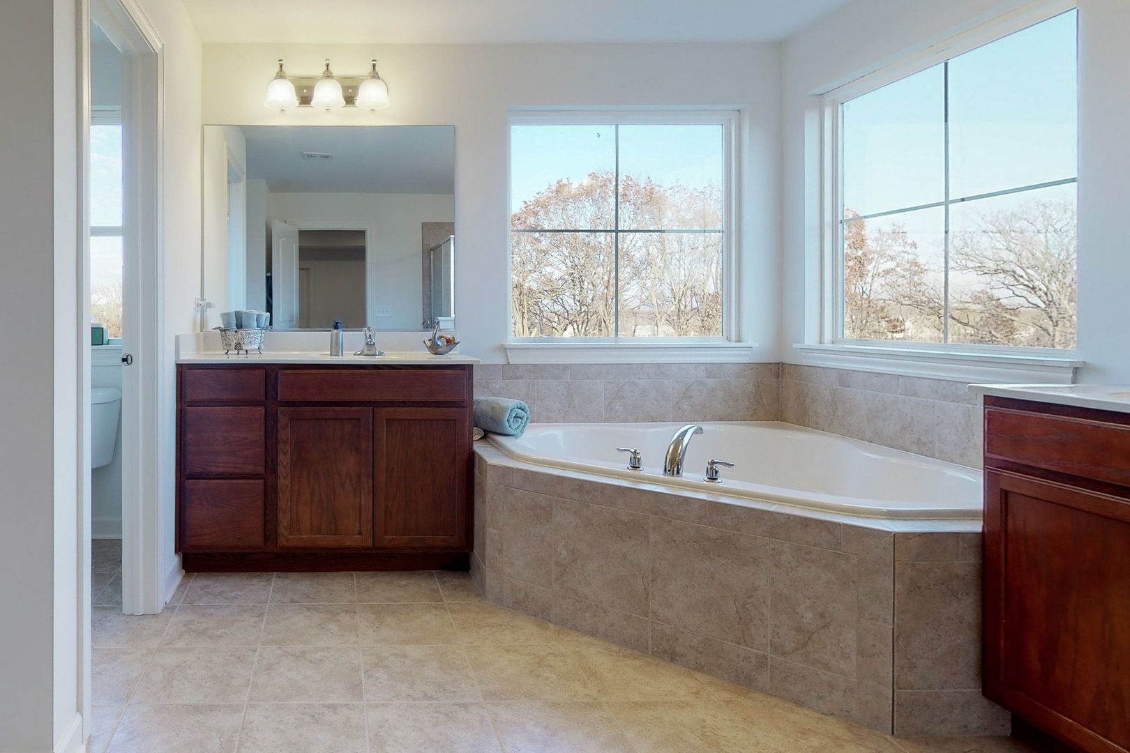 4362 Rudyard Kipling Road Elgin, IL 60124 - Photo 22 of 33 a spacious bathroom with a tub sink and mirror