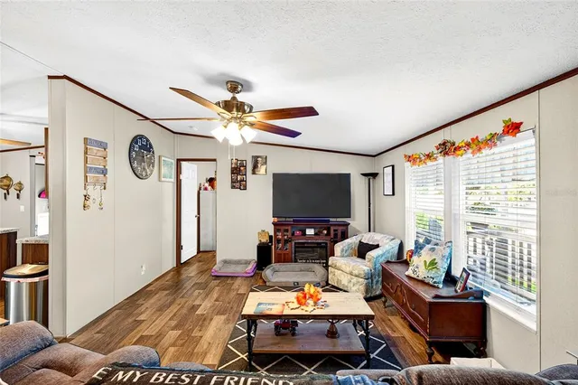 a view of a house with pool and a yard