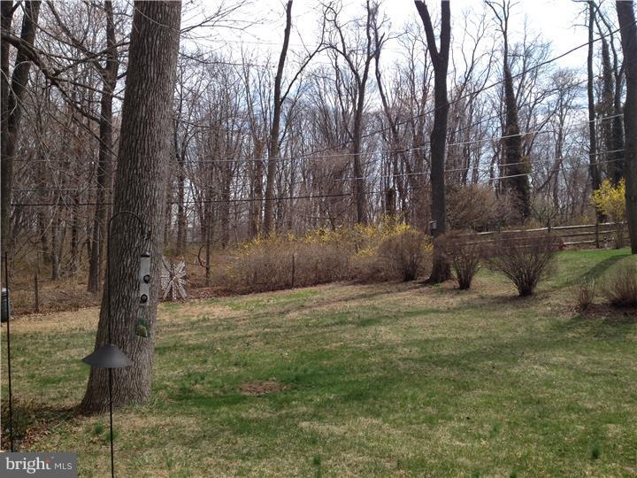 1041 Anna Road Huntingdon Valley, PA 19006 - Photo 23 of 23 View in Back
