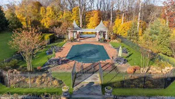 a view of a yard with plants and large trees