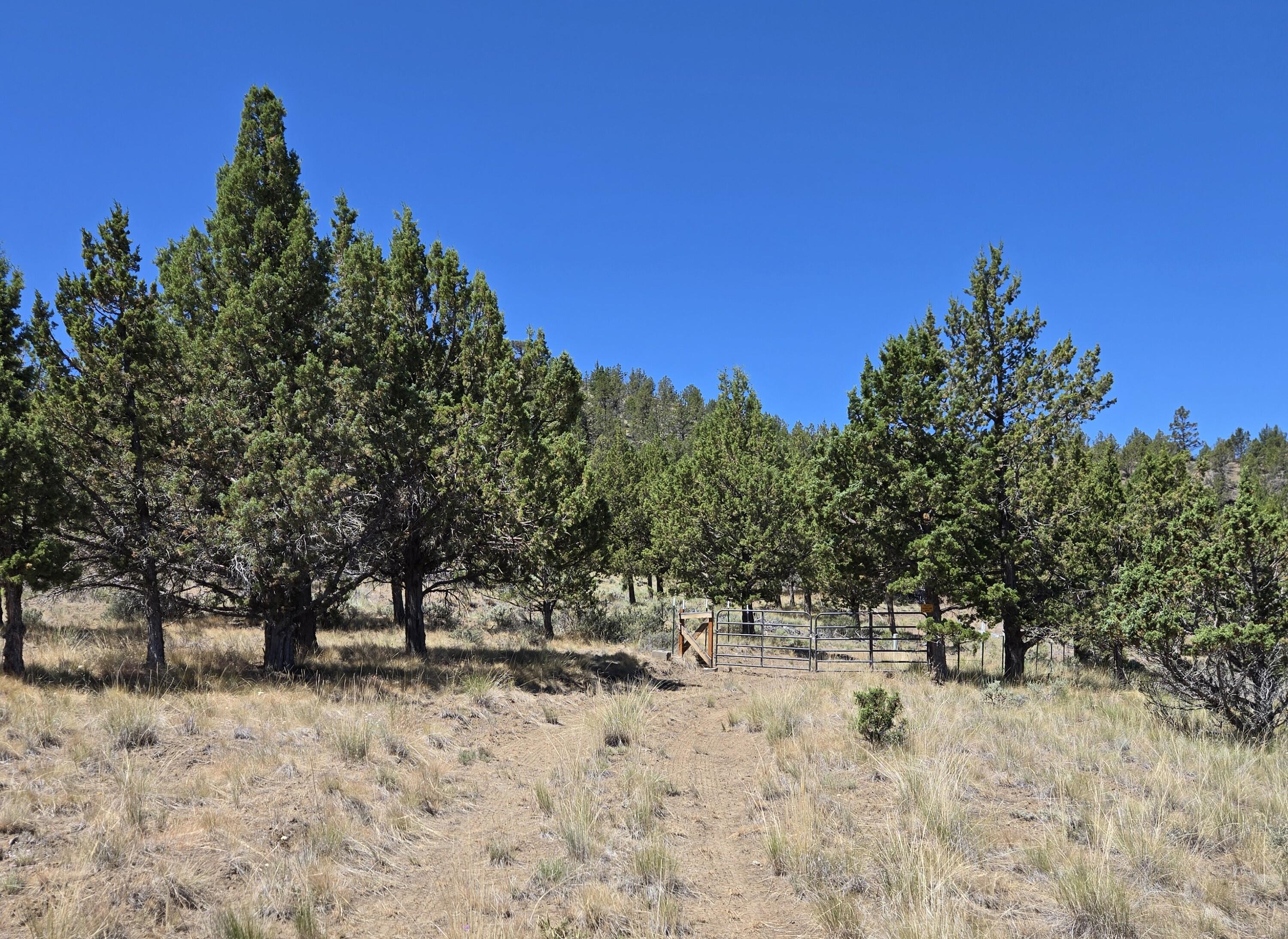 20102 Osprey Road, Unit 800 Prineville, OR 97754 - Photo 7 of 20 20250712_120138