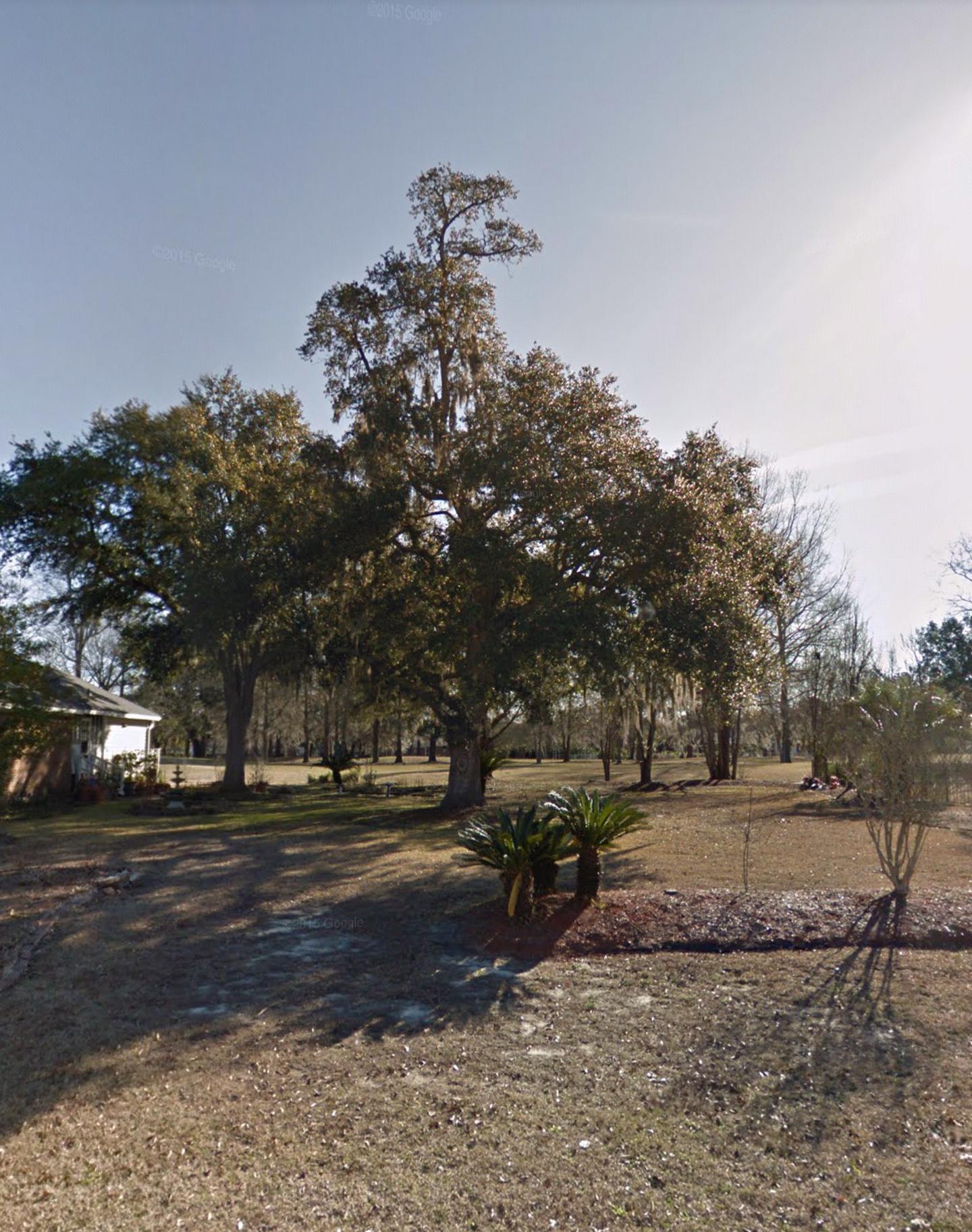 1336 Roma Road Hanahan, SC 29410 - Photo 1 of 1 1336 Roma Rd