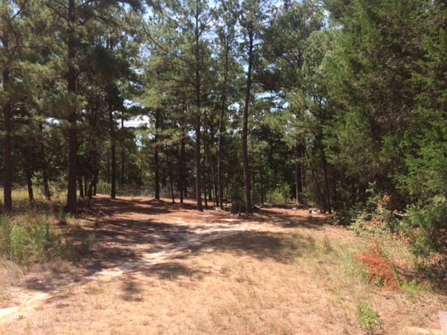 140 Sandy Creek Road Red Rock, TX 78662 - Photo 1 of 1 Gallery Image 1