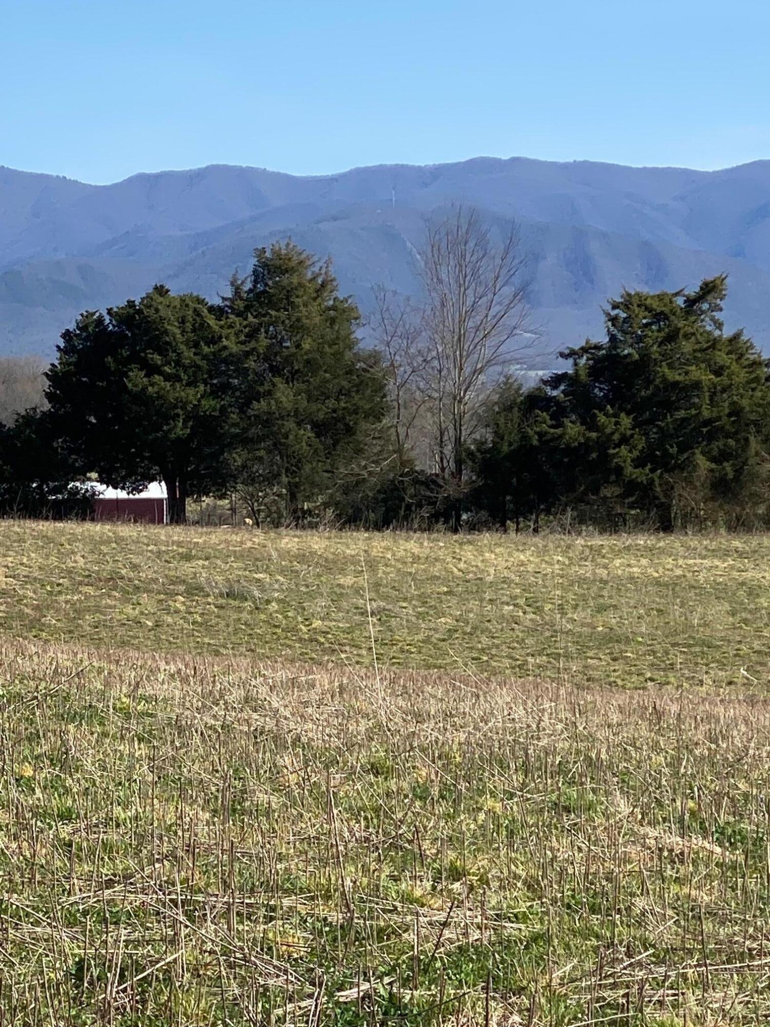 0 Shiloh Road, Unit 16 Greeneville, TN 37745 - Photo 2 of 2 Shiloh Farm Lot 16