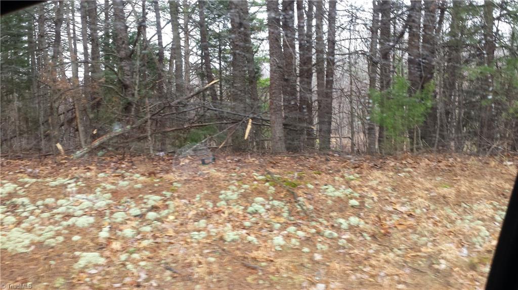 0 Cherry Grove Road Reidsville, NC 27320 - Photo 1 of 1 Gallery Image 1