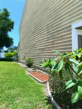 a potted plant sitting on the side of a building