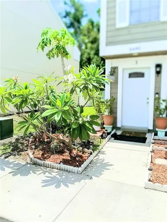 a view of a fruit basket