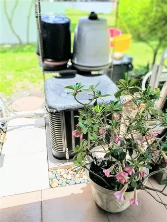 a view of backyard with cabin