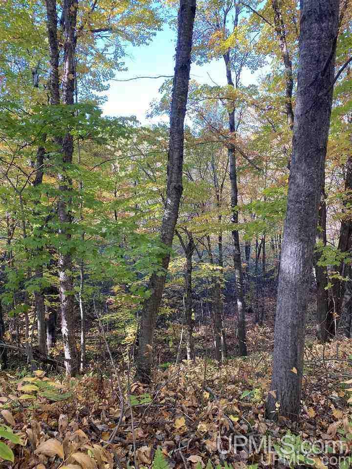 T-wi Wi 54534 Road Hurley, WI 54534 - Photo 14 of 35