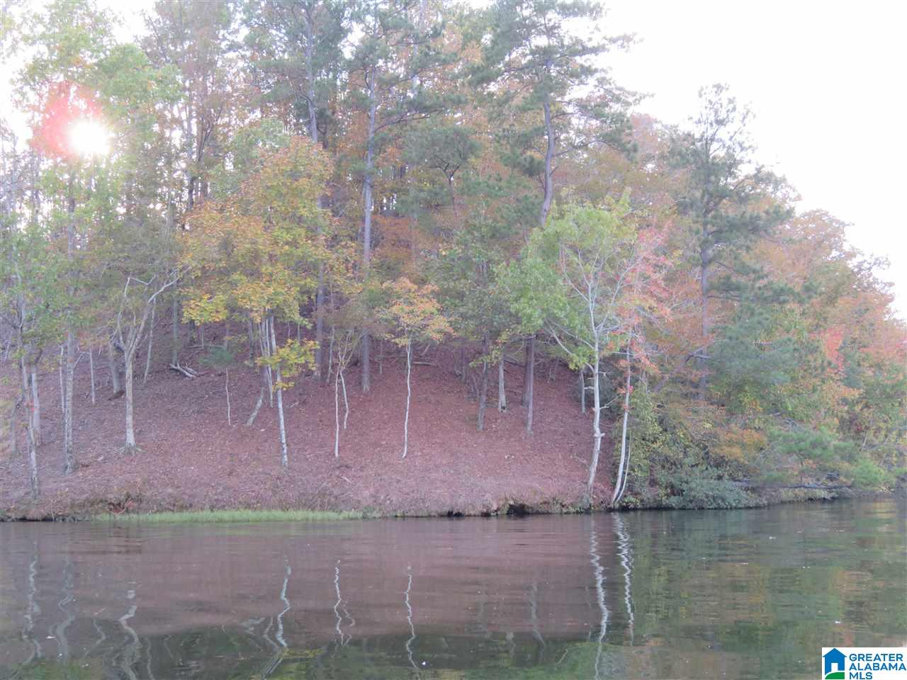 Lot 5 Eagle Mountain Road, Unit 5 Alexander City, AL 35010 - Photo 1 of 7